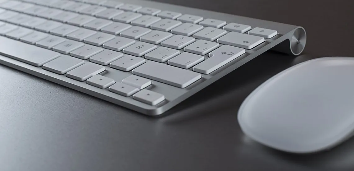 Software Products